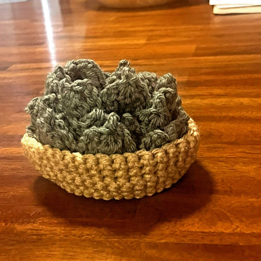 Crochet Succulent Coasters with Bowl, Hand Crafted 5 Pieces NEW